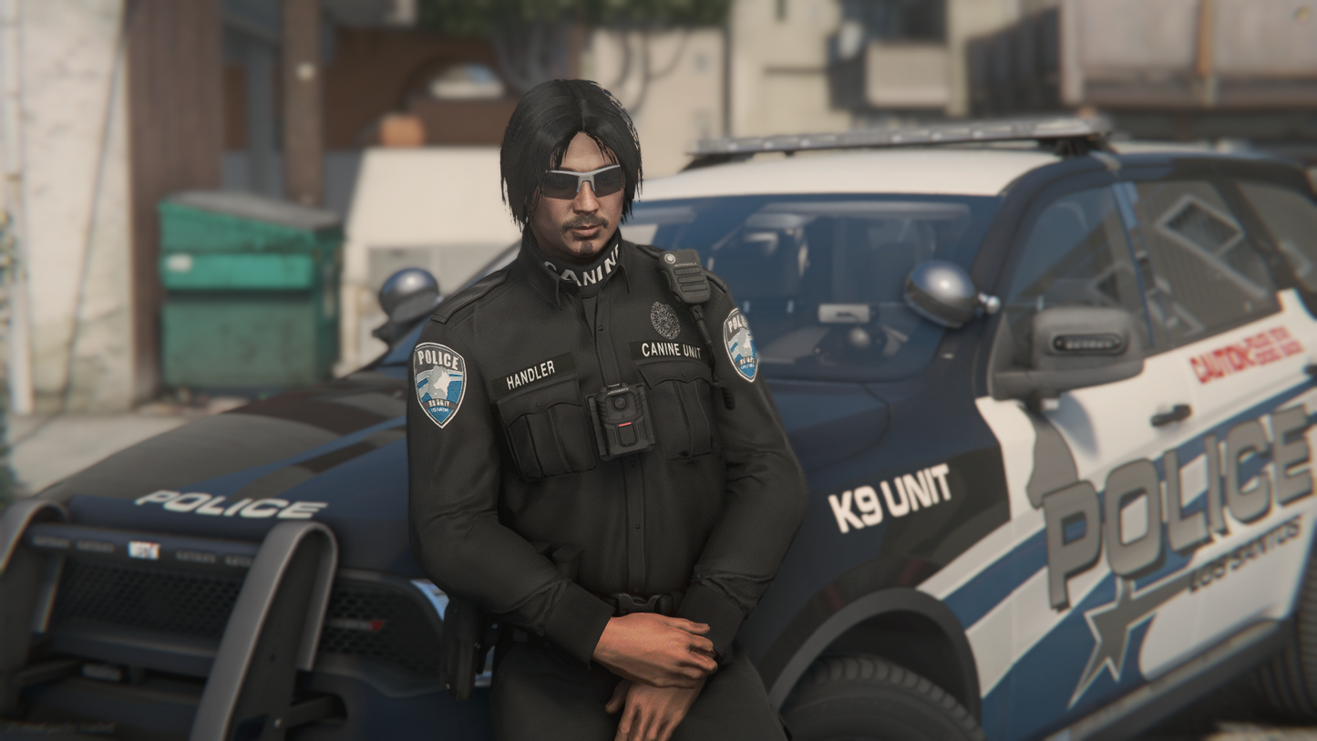 LSPD Livery Package