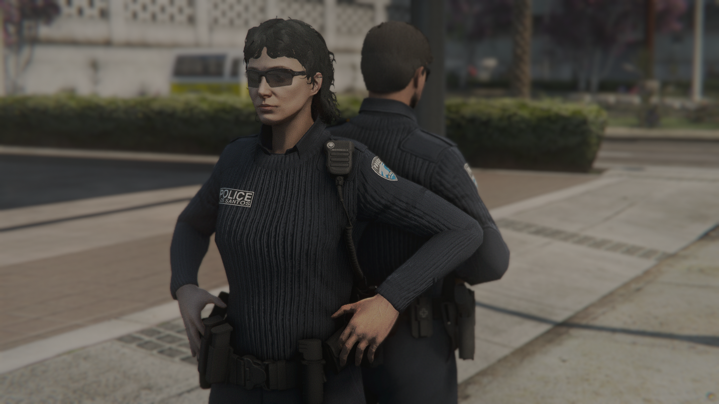 LSPD EUP-Paket