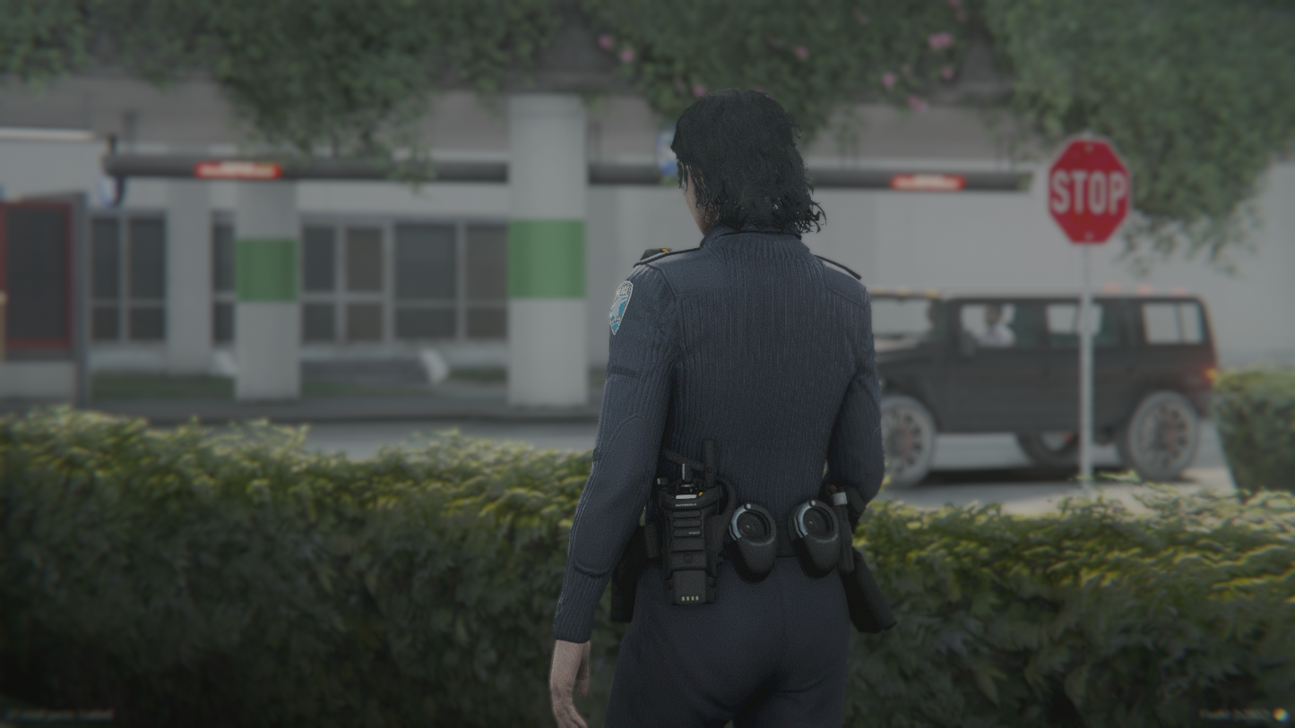 LSPD EUP-Paket