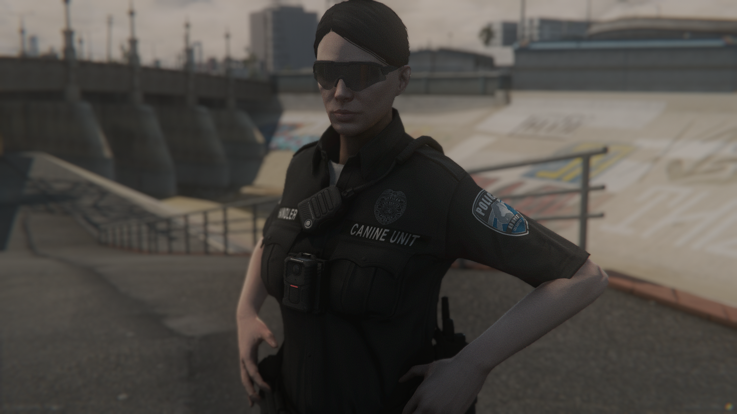 LSPD EUP-Paket