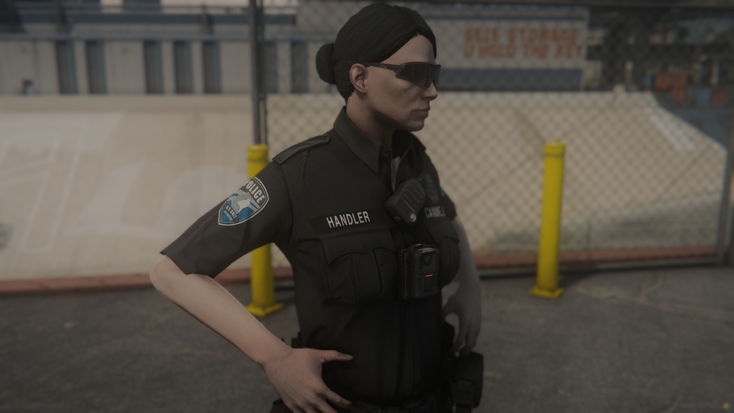 LSPD EUP-Paket