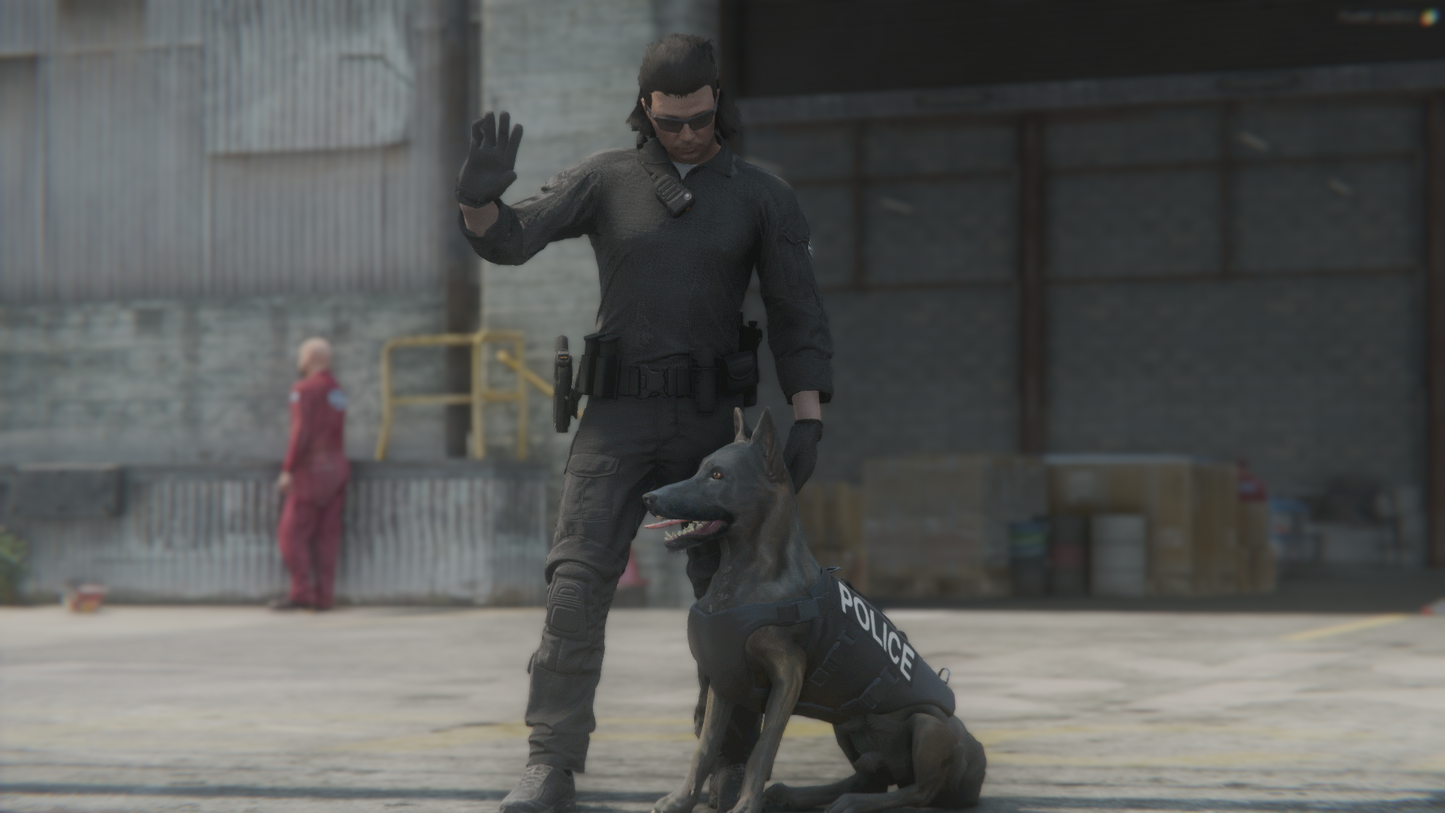 LSPD EUP-Paket