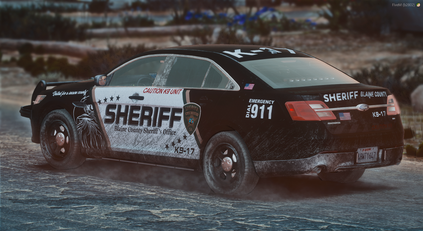 BCSO-Lackierungspaket
