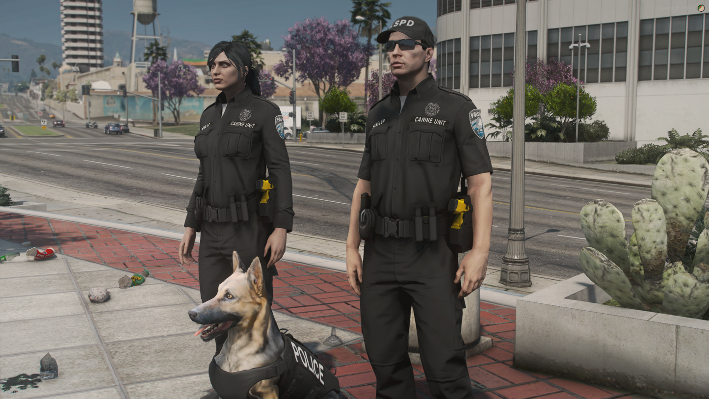 LSPD EUP Package
