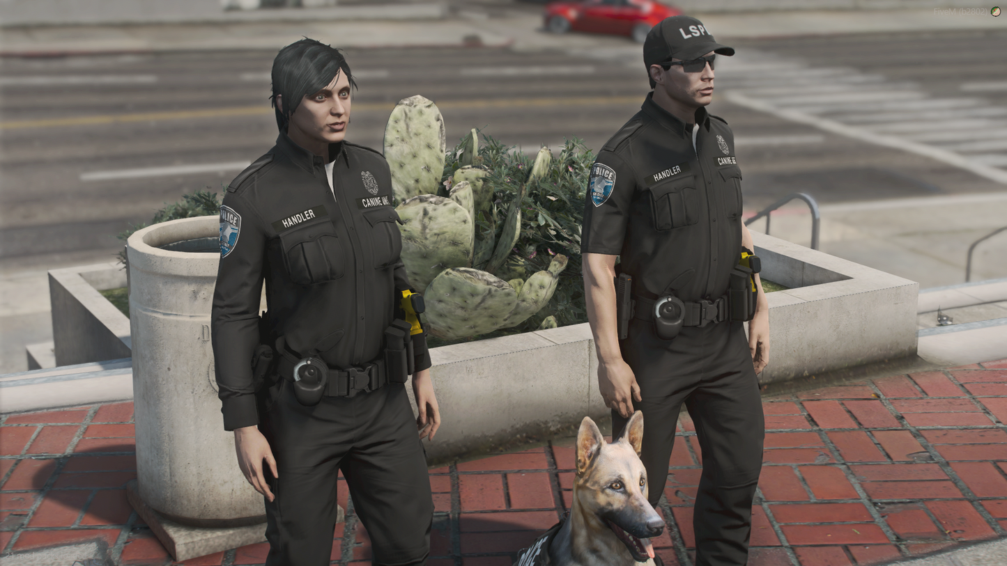 LSPD EUP Package